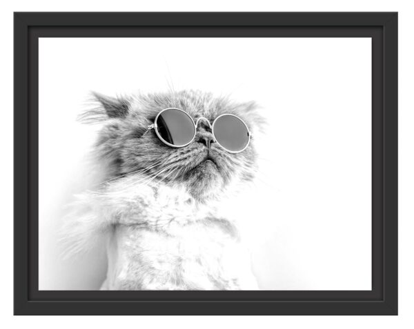 Coole Katze mit runder Sonnenbrille, Monochrome, im Schwebe-Effekt Bilderrahmen